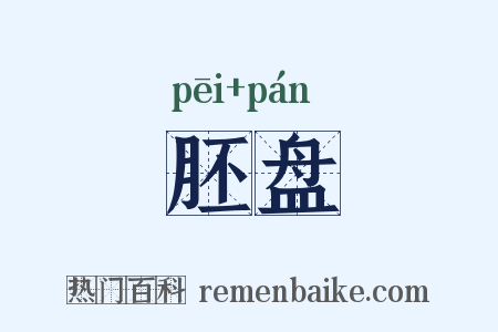 胚盘是什么意思的图片